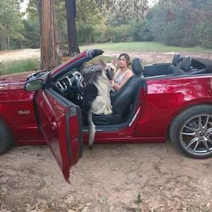 Meet your Posher, Ian